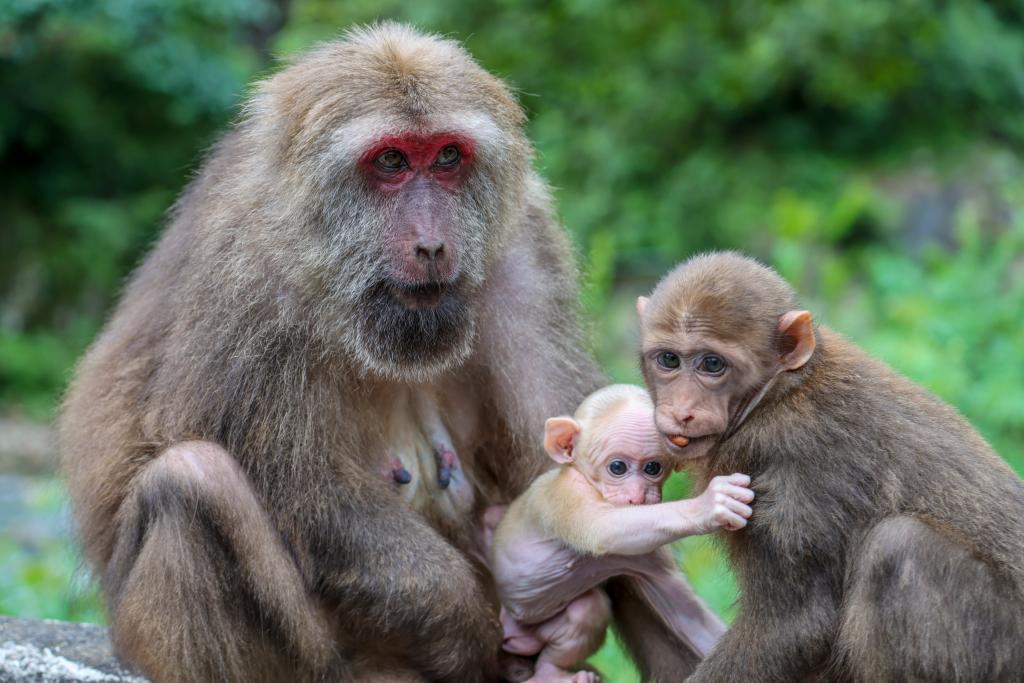 大美綻放！國家公園法施行