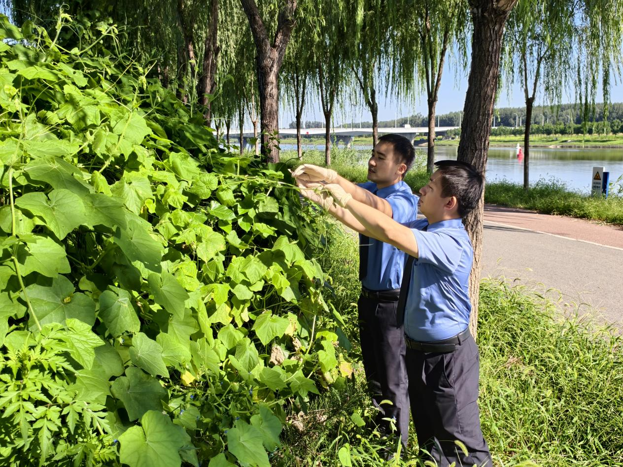?檢察公益訴訟歸還鳥兒174畝棲息地
